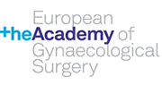 +he Academy